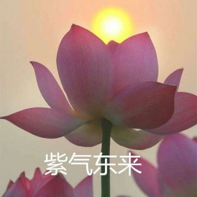 武神战纪私服下载